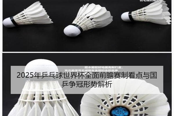 2025年乒乓球世界杯全面前瞻赛制看点与国乒争冠形势解析