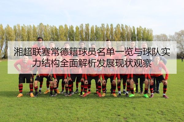 湘超联赛常德籍球员名单一览与球队实力结构全面解析发展现状观察